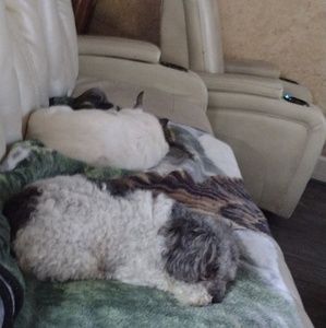 Meet your Posher, Linda